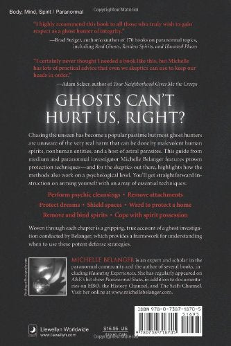 The Ghost Hunter's Survival Guide - Divine Clarity