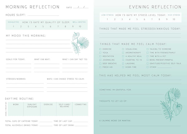 Calm Journal: A day and night reflection journal - Divine Clarity