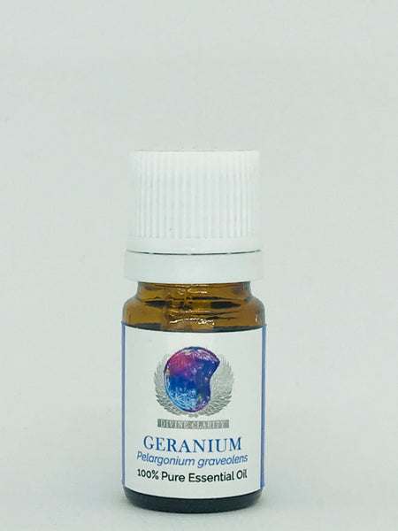 Geranium Essential Oil - Divine Clarity