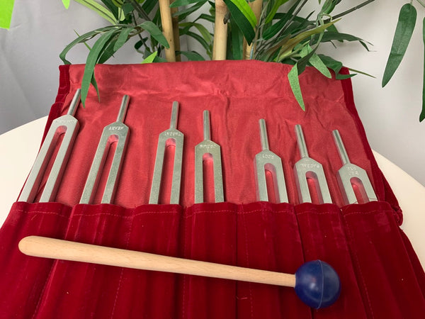 7 Chakra Tuning Fork Set - Divine Clarity