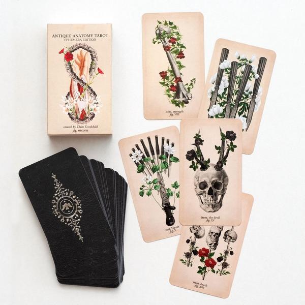 The Antique Anatomy Tarot Kit - Divine Clarity