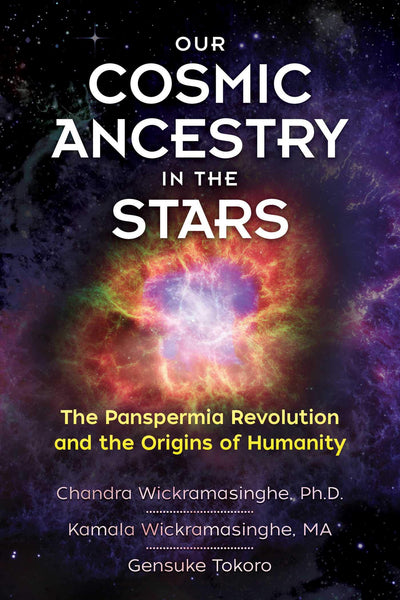 Our Cosmic Ancestry in the Stars - Divine Clarity