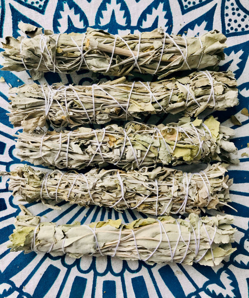 Organic White Sage Stick 5" - Divine Clarity
