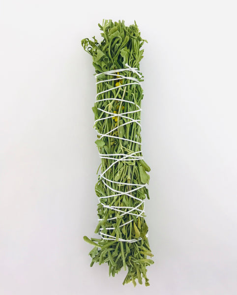 Organic Rue Smudge Stick 6" - Divine Clarity