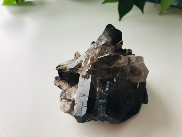 Raw Smokey/Smoky Black Quartz Raw Cluster - Small ~270 grams - Divine Clarity
