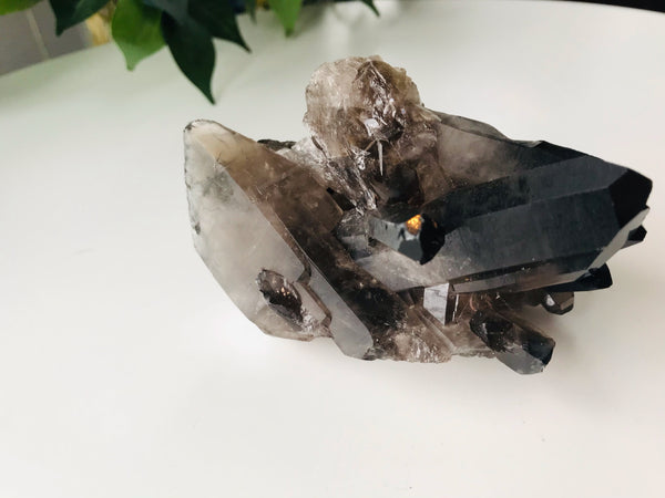 Raw Smokey/Smoky Black Quartz Raw Cluster - Medium Grade A ~325 grams - Divine Clarity