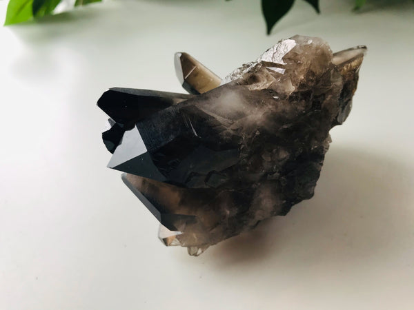 Raw Smokey/Smoky Black Quartz Raw Cluster - Medium Grade A ~325 grams - Divine Clarity