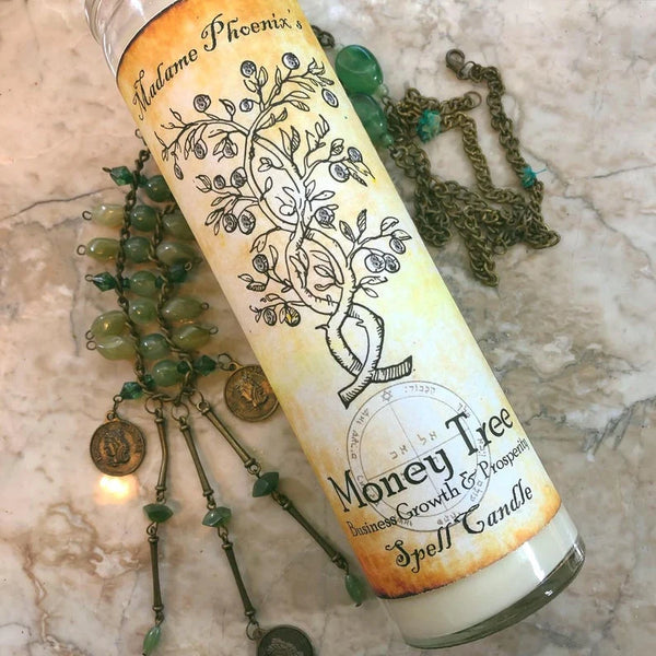 Money Tree 7 Day Pillar Candle - Madame Phoenix - Divine Clarity