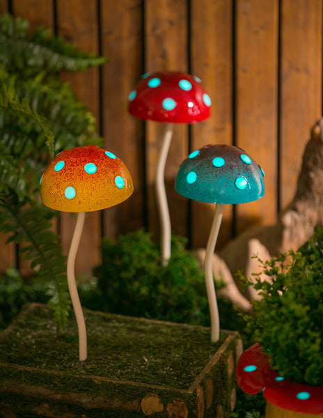 Assorted Glow in the Dark Mushroom Plant Pic