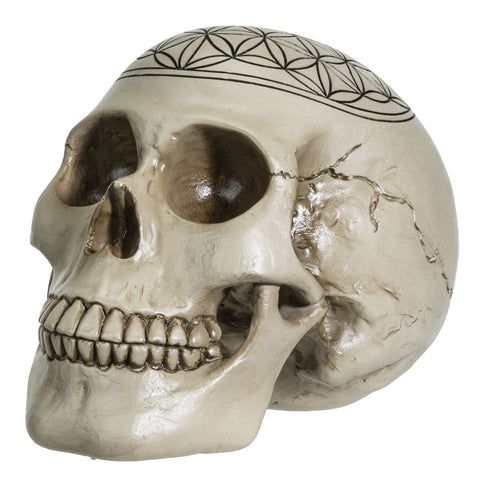 Sacred Geometry Skull - Flower of Life - Divine Clarity