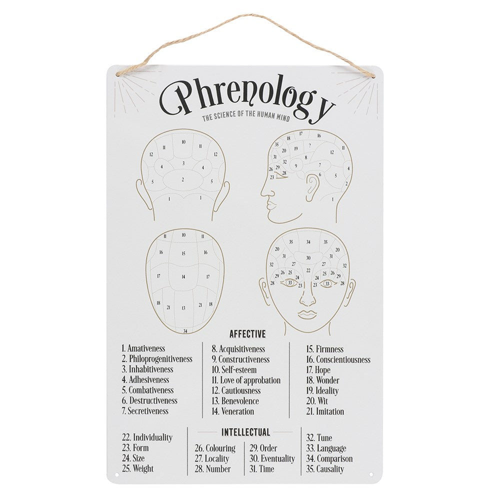 Phrenology Map Metal Sign - Divine Clarity