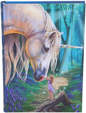 Unicorn & Fairy Journal - Divine Clarity