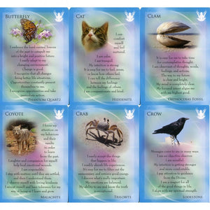 The Animal Allies and Gemstone Guardians Cards