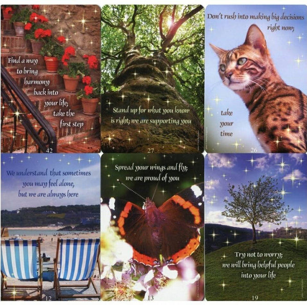 Messages From Heaven Communication Cards - Divine Clarity