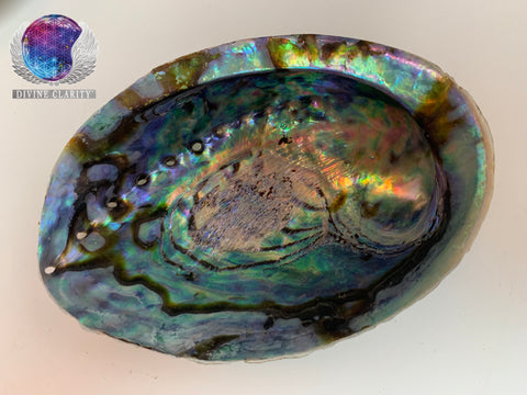 Smudge Abalone Shell / Bowl - Divine Clarity