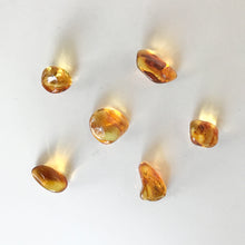 Load image into Gallery viewer, Baltic Amber Tumbled
