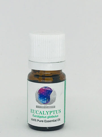 Eucalyptus Essential Oil - Divine Clarity
