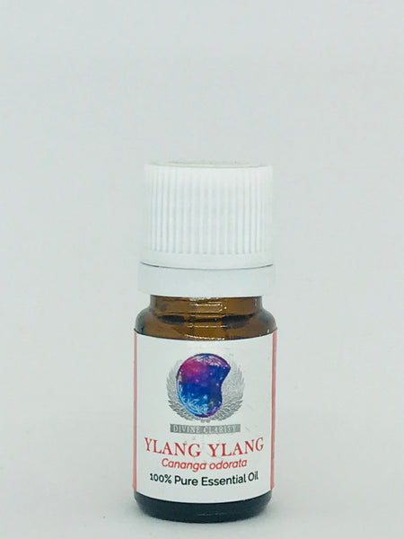 Divine Clarity 100% Pure Ylang Ylang Oil - Divine Clarity