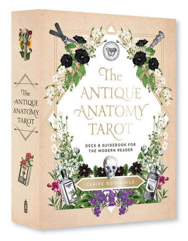 The Antique Anatomy Tarot Kit - Divine Clarity