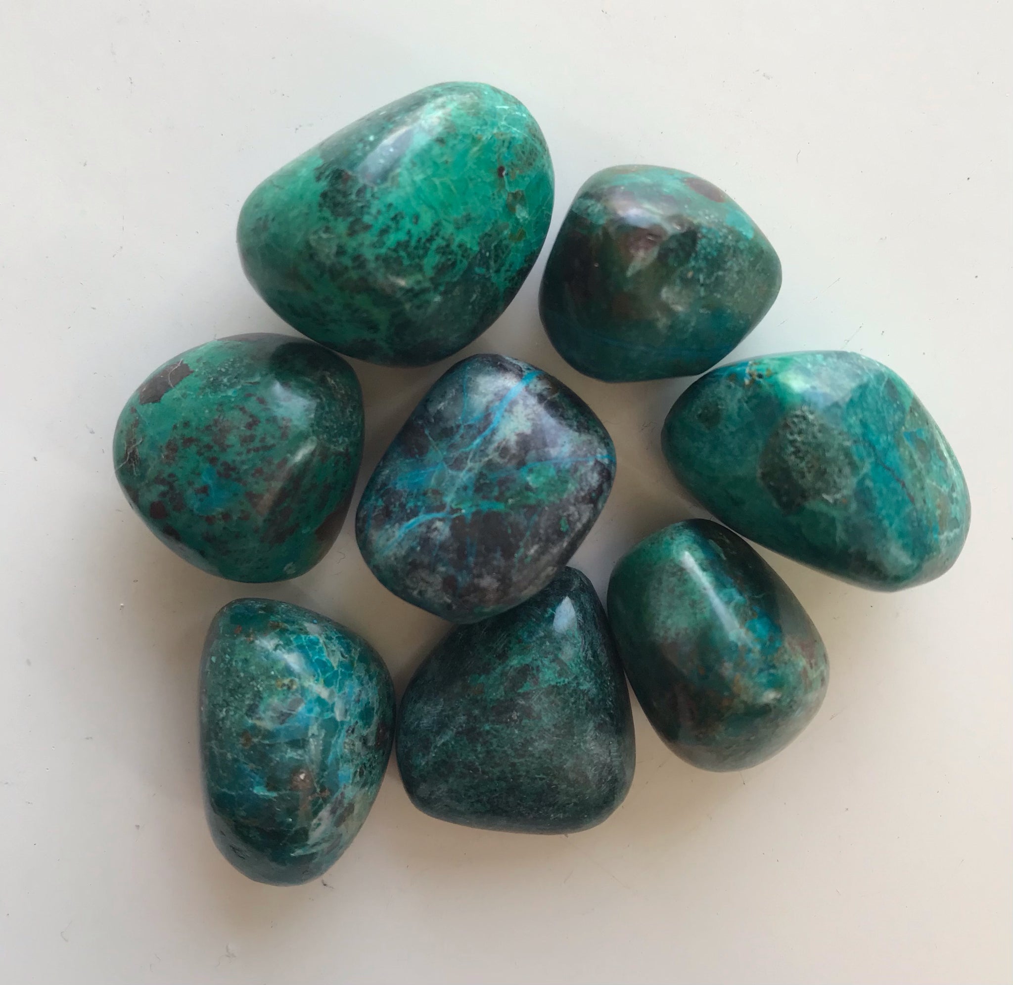 Chrysocolla Tumbled - Large - Divine Clarity
