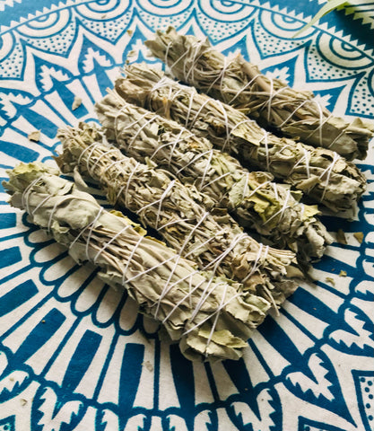 Organic White Sage Stick 5" - Divine Clarity