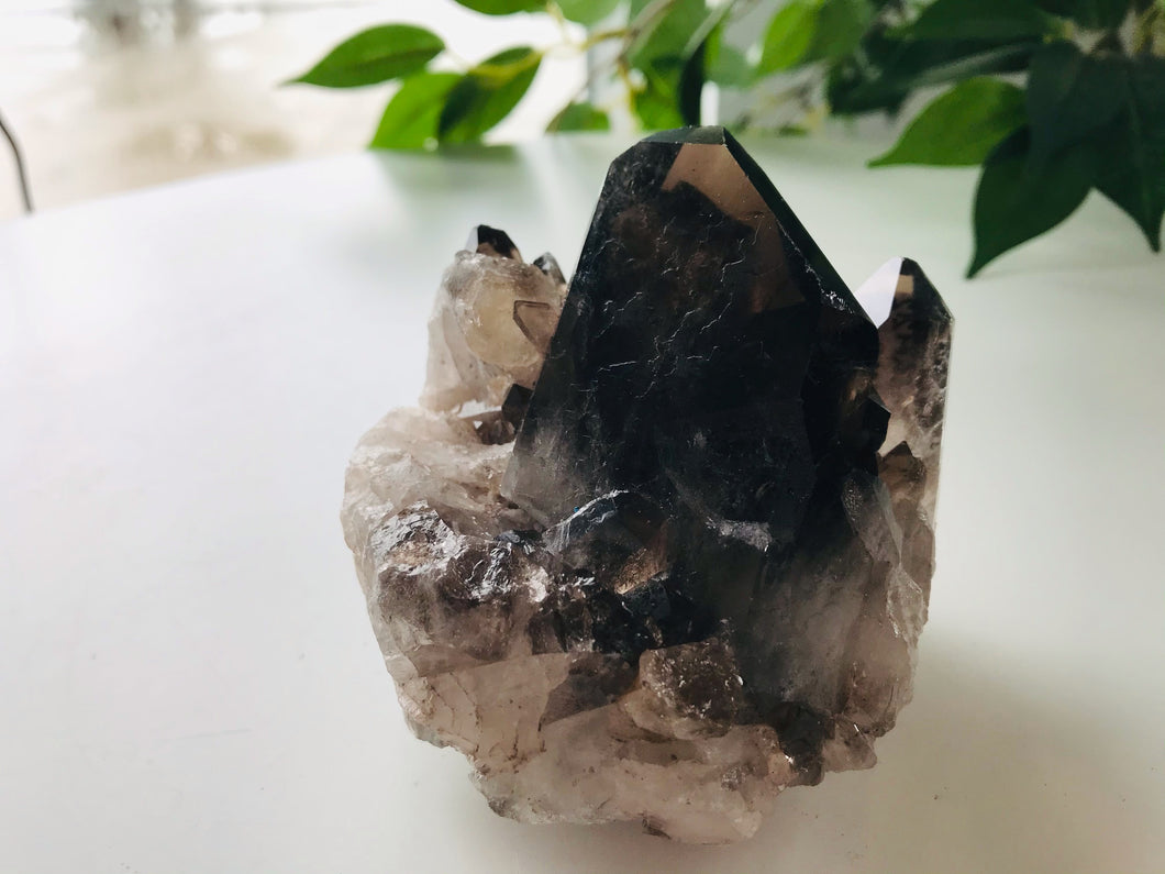Raw Smokey/Smoky Black Quartz Raw Cluster - Medium Grade A ~337 grams