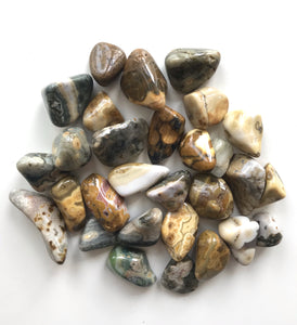 Ocean Jasper Tumbled - Divine Clarity