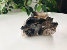 Load image into Gallery viewer, Raw Smokey/Smoky Black Quartz Raw Cluster - Small ~270 grams
