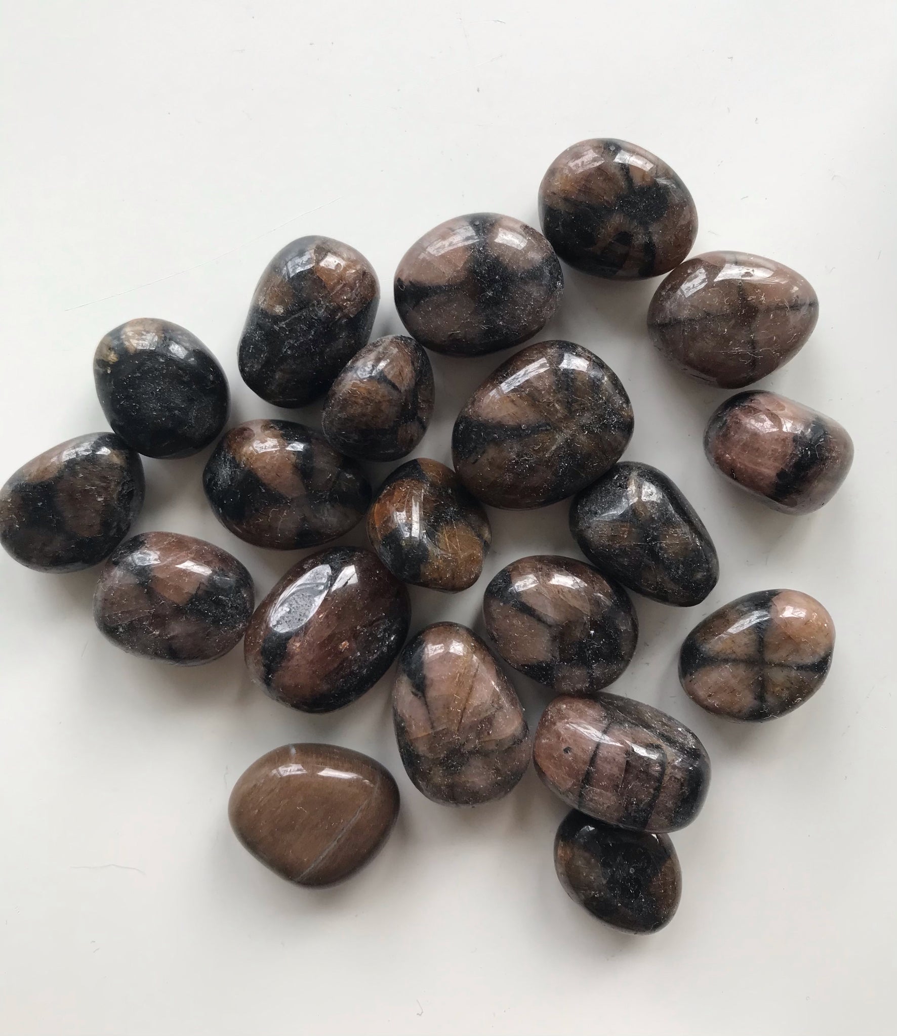 Chiastolite Tumbled - Divine Clarity