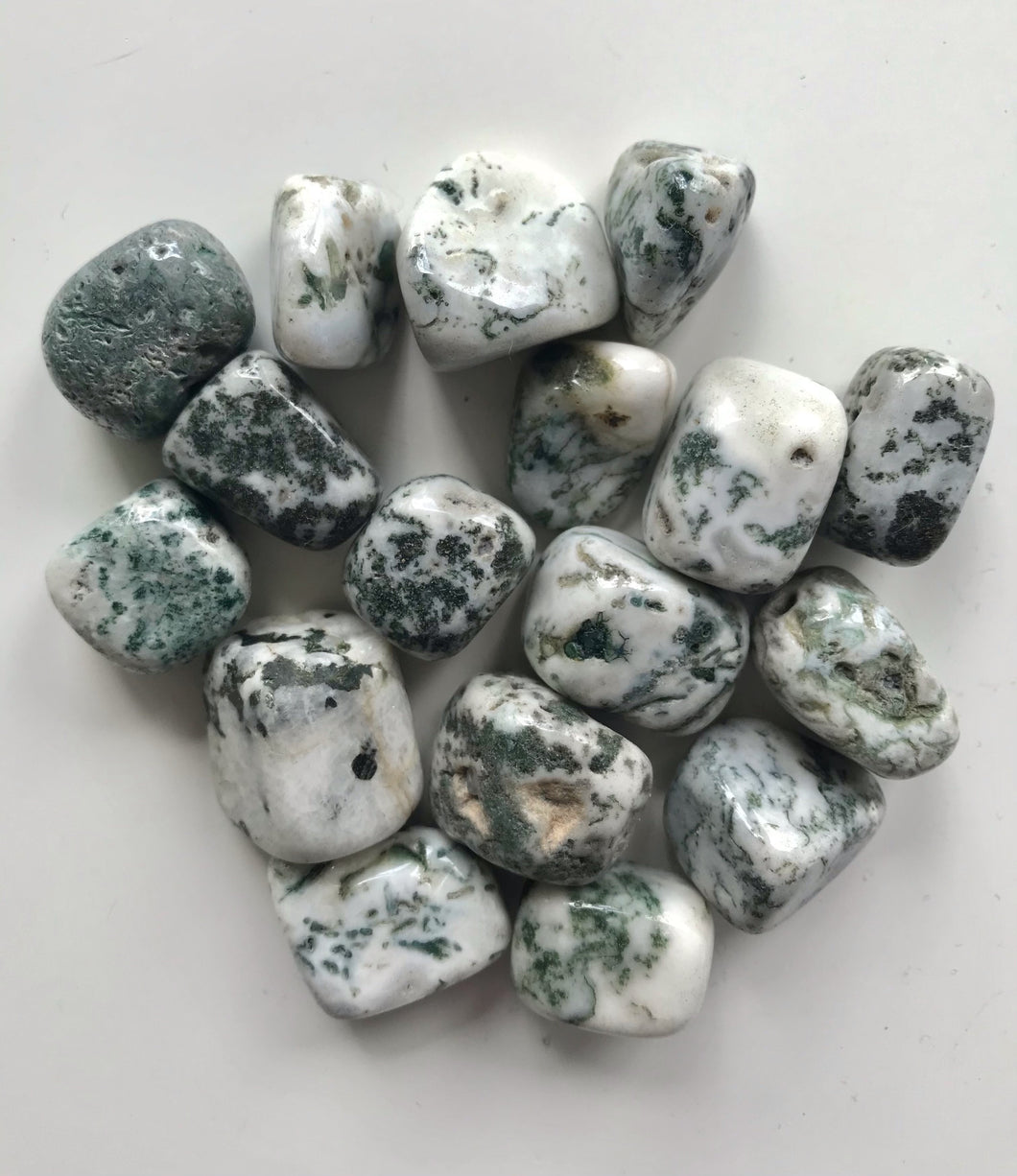 Tree Agate Tumbled